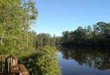 Edenton National Fish Hatchery Aquarium景点图片