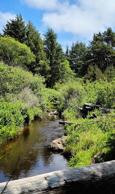 Fogarty Creek Beach-林肯县