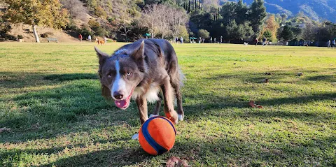 Laguna Beach Dog Park