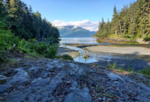 Whittier Bay Campground景点图片