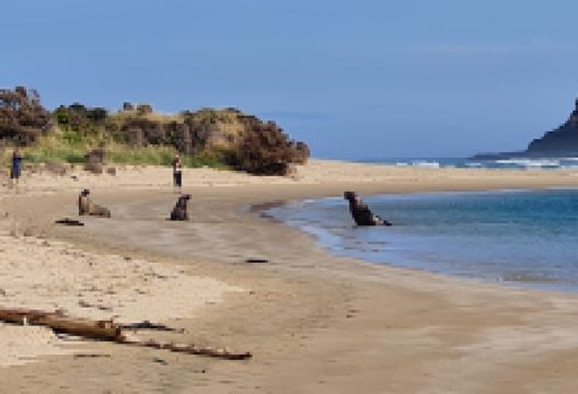 Surat Bay Beach Walk景点图片
