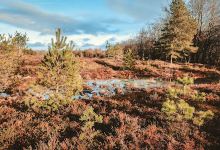 Grene Sande景点图片