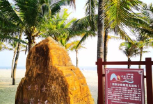 世界女子沙排精英友谊林景点图片