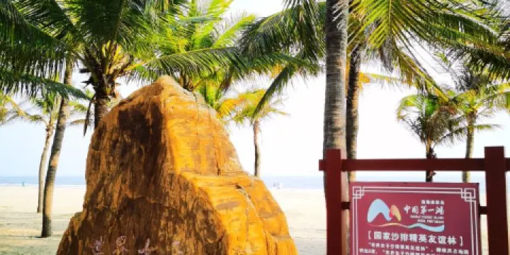 沙排精英友誼林