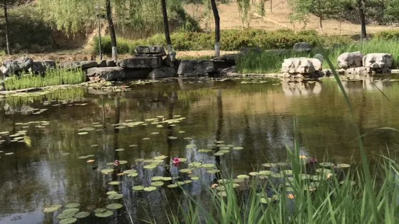 王母堖植物公園