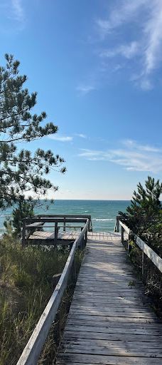 Pinery Provincial Park-大本德