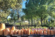 Agrojardim - Centro de Jardinagem购物图片