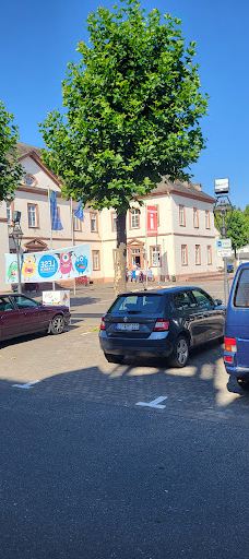 Hunsrück-Museum Simmern-锡门