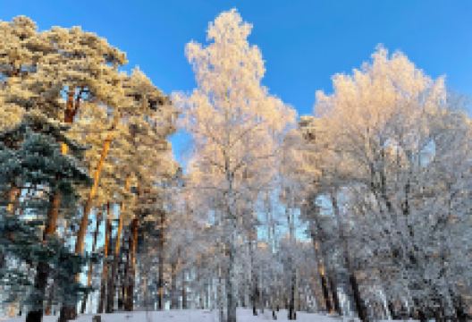 Kusens backe景点图片