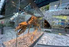 The Bear Cave景点图片