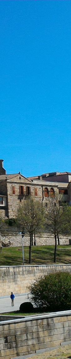 罗马古桥-萨拉曼卡