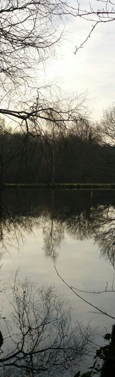 Parc des Gayeulles-雷恩