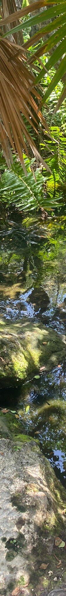 Cenote Azul-索里达瑞达德