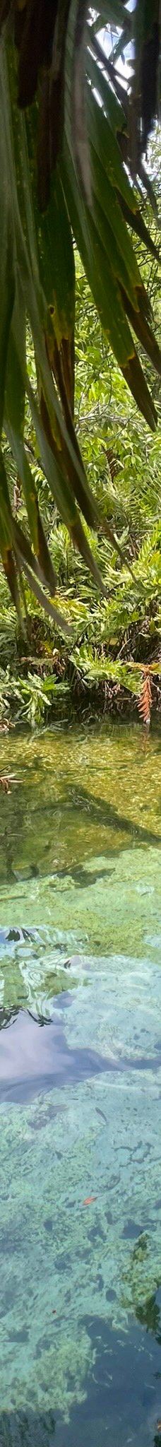 Cenote Azul-索里达瑞达德