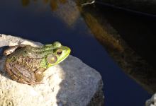 The Lands at Hillside Farms景点图片