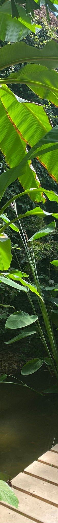 Butterfly Park Empuriabrava-Alt Emporda