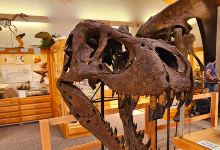 Tate Geological Museum景点图片