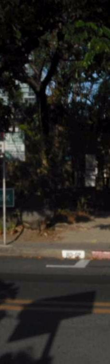 Washington Sycip Park-马卡蒂