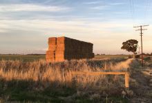 Dimboola Native Flora & Fauna Reserve景点图片