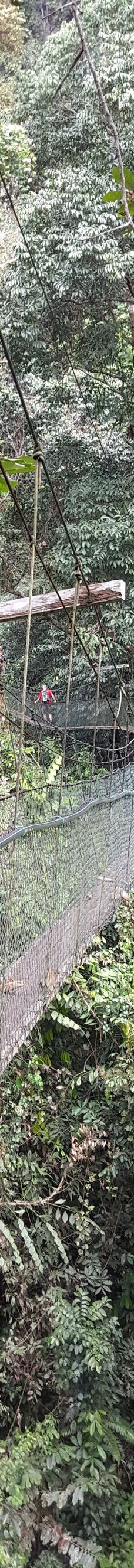 Mulu Skywalk-马鲁迪