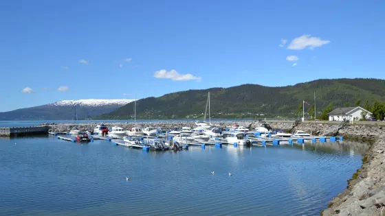 Moskjæran Marina
