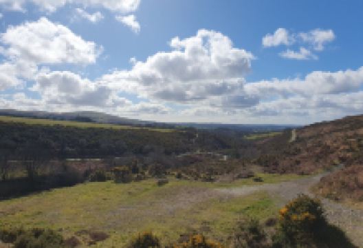 Wheal Betsy Tin Mine景点图片