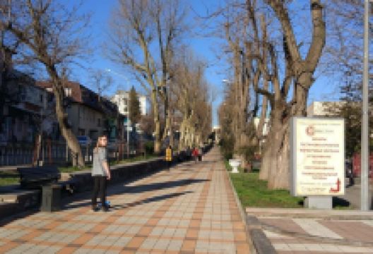 Sculpture the Sailor景点图片