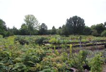 Forest Glen Herb Farm景点图片