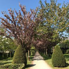 弗朗斯地区鲁瓦西图片