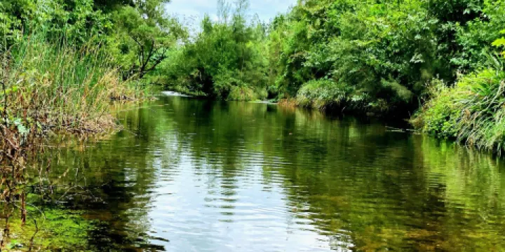 Charlie Moreland Camping Area