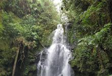 Wildlife Refuge Cerro Dantas景点图片