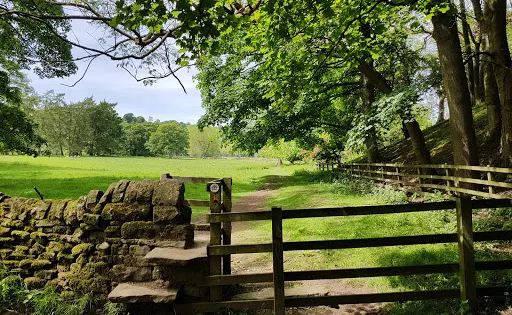 Gouthwaite Reservoir