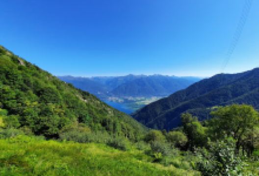 Monte Gambarogno景点图片