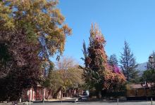 Plaza De Rinconada De Los Andes景点图片