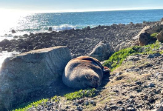 Heyward Point Track景点图片