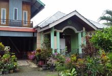 Galeri Tanaman Agri Wong Tani购物图片
