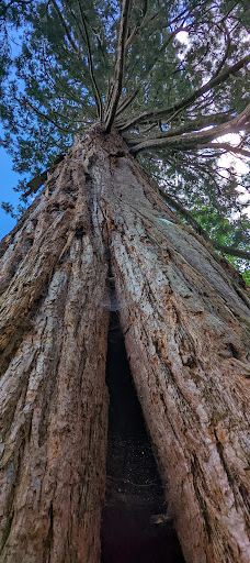 Museum MONREPOS-新维德