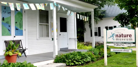 The Nature Museum at Grafton