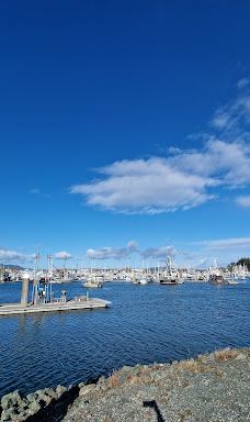 Seafarers Memorial Park-阿纳科特斯