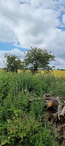 Bure Valley Railway (Wroxham station)-诺维奇