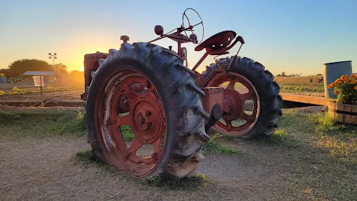 Tolmachoff Farms