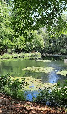 Wickrather Schloss Park-门兴格拉德巴赫