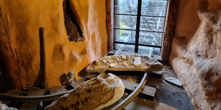 Treasures of the Earth