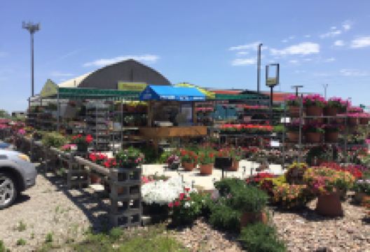 Stutzmans购物图片