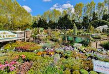 Greenbrook Garden Centre购物图片