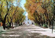 Museo Civilta Contadina景点图片