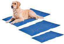 Heimtier-Center - alles für den Hund vor Ort & Online kaufen!购物图片