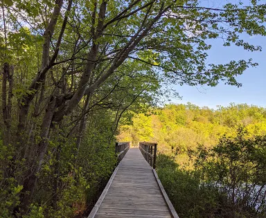 Shu Swamp Preserve - Charles T Church Nature Preserve