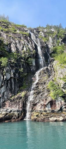 Kenai Fjords Tours-西沃德