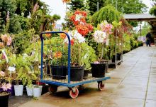 Mój Ogród - Centrum Ogrodnicze购物图片